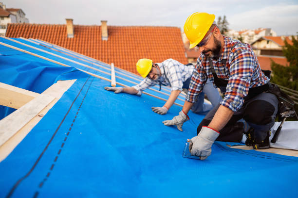Best Roof Gutter Cleaning  in Midland, PA